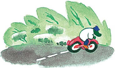 Иллюстрация к книге — Все о Чебурашке и Крокодиле Гене [i_220.jpg]