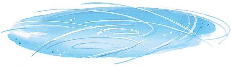 Иллюстрация к книге — Олимпиада для Чебурашки, или Чебурашка едет в Сочи [i_040.jpg]