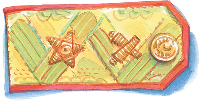 Иллюстрация к книге — Олимпиада для Чебурашки, или Чебурашка едет в Сочи [i_069.jpg]