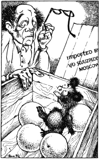 Иллюстрация к книге — Бизнес крокодила Гены и другие сказочные повести [i_118.jpg]