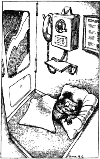 Иллюстрация к книге — Бизнес крокодила Гены и другие сказочные повести [i_121.jpg]