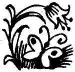 Иллюстрация к книге — Вниз по волшебной реке [i_018.jpg]