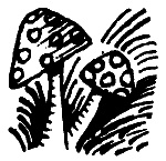 Иллюстрация к книге — Вниз по волшебной реке [i_029.jpg]