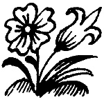 Иллюстрация к книге — Вниз по волшебной реке [i_051.jpg]