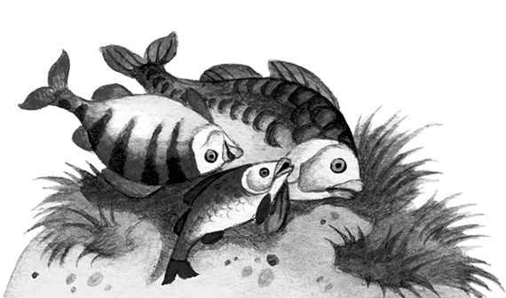 Иллюстрация к книге — Вниз по волшебной реке [i_006.jpg]