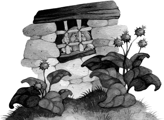 Иллюстрация к книге — Вниз по волшебной реке [i_016.jpg]