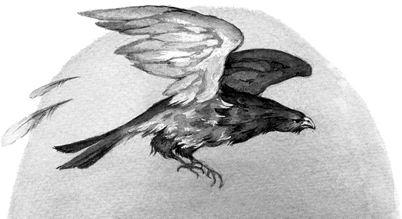 Иллюстрация к книге — Вниз по волшебной реке [i_022.jpg]