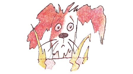 Иллюстрация к книге — Год хорошего ребенка [i_037.jpg]