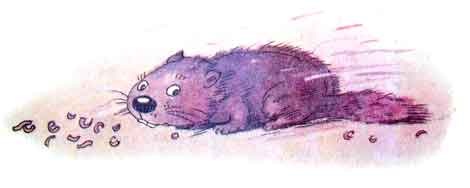 Иллюстрация к книге — Колобок идет по следу. Книга 1 [u1_39.jpg]