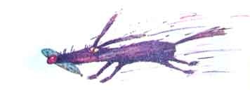 Иллюстрация к книге — Колобок идет по следу. Книга 2 [u2_20.jpg]