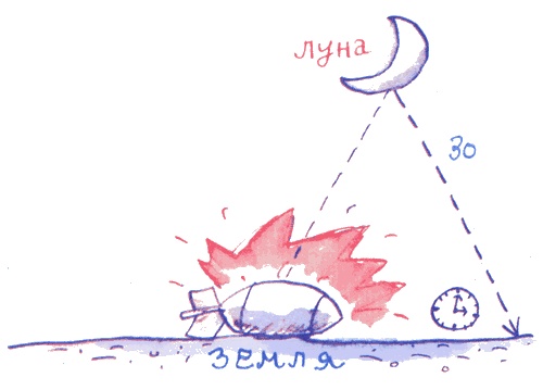 Иллюстрация к книге — Лекции профессора Чайникова [i_064.jpg]