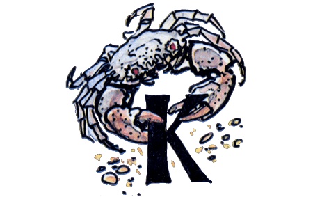 Иллюстрация к книге — Подводные береты [i_014.jpg]