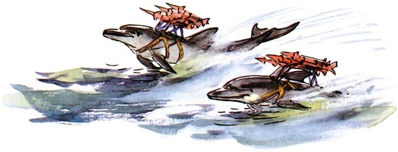 Иллюстрация к книге — Подводные береты [i_055.jpg]