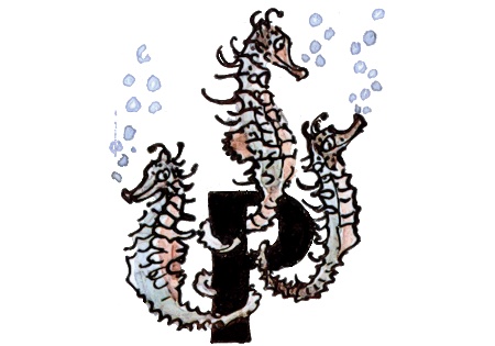 Иллюстрация к книге — Подводные береты [i_059.jpg]