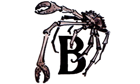 Иллюстрация к книге — Подводные береты [i_066.jpg]