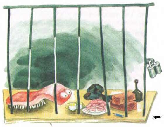 Иллюстрация к книге — Таинственный гость из космоса [i_009.jpg]