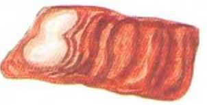 Иллюстрация к книге — Таинственный гость из космоса [i_037.jpg]