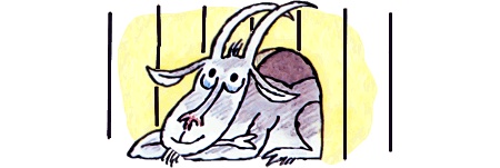 Иллюстрация к книге — Школа клоунов [i_063.jpg]