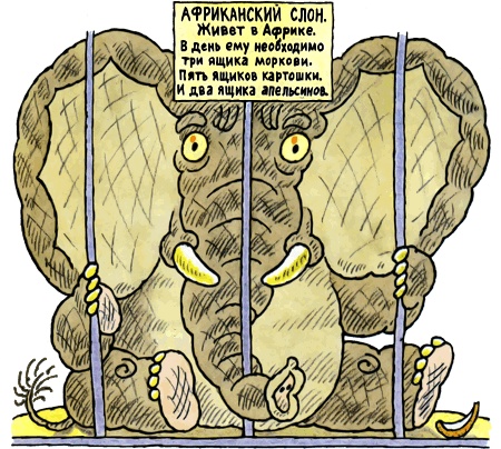 Иллюстрация к книге — Школа клоунов [i_075.jpg]