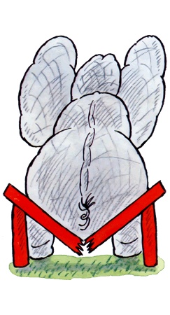 Иллюстрация к книге — Школа клоунов [i_100.jpg]