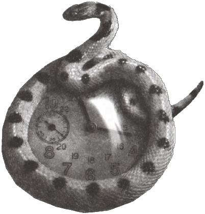 Иллюстрация к книге — Джандо [i_004.jpg]