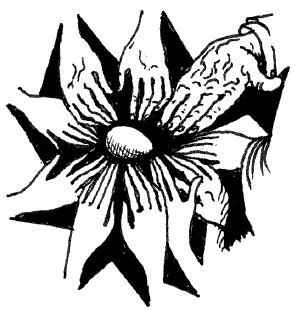 Иллюстрация к книге — Весна [i_011.jpg]