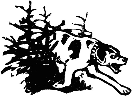 Иллюстрация к книге — В долинах Рингваака [= Рыжий Лис ] [i_004.jpg]