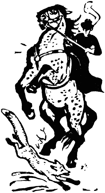 Иллюстрация к книге — В долинах Рингваака [= Рыжий Лис ] [i_009.jpg]