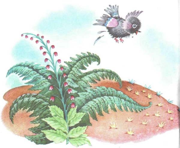 Иллюстрация к книге — Хербе Большая Шляпа [i_002.jpg]