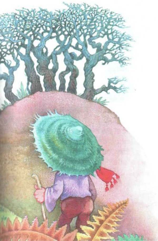 Иллюстрация к книге — Хербе Большая Шляпа [i_007.jpg]