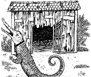 Иллюстрация к книге — Разбойник Хотценплотц и хрустальный шар [i_032.jpg]