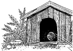 Иллюстрация к книге — Разбойник Хотценплотц и муравейник с начинкой [i_014.jpg]