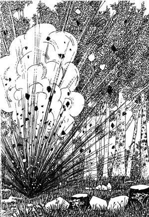 Иллюстрация к книге — Разбойник Хотценплотц и муравейник с начинкой [i_023.jpg]