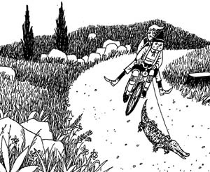 Иллюстрация к книге — Разбойник Хотценплотц и муравейник с начинкой [i_038.jpg]