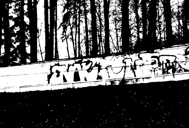 Иллюстрация к книге — Дети пустоты [i_018.jpg]