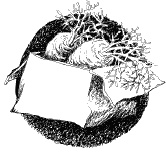 Иллюстрация к книге — Волшебный витраж [pict12.jpg]