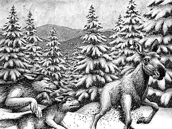 Иллюстрация к книге — Ледяной [i_002.jpg]