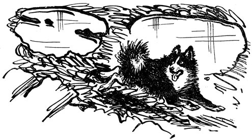 Иллюстрация к книге — Преданье старины глубокой [i_015.jpg]