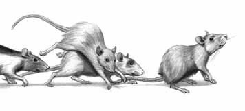 Иллюстрация к книге — Дневник профессора Гаргульи [i_004.jpg]