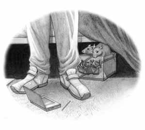 Иллюстрация к книге — Дневник профессора Гаргульи [i_008.jpg]