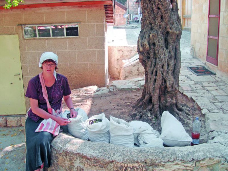 Иллюстрация к книге — Без любви жить нельзя [i_015.jpg]