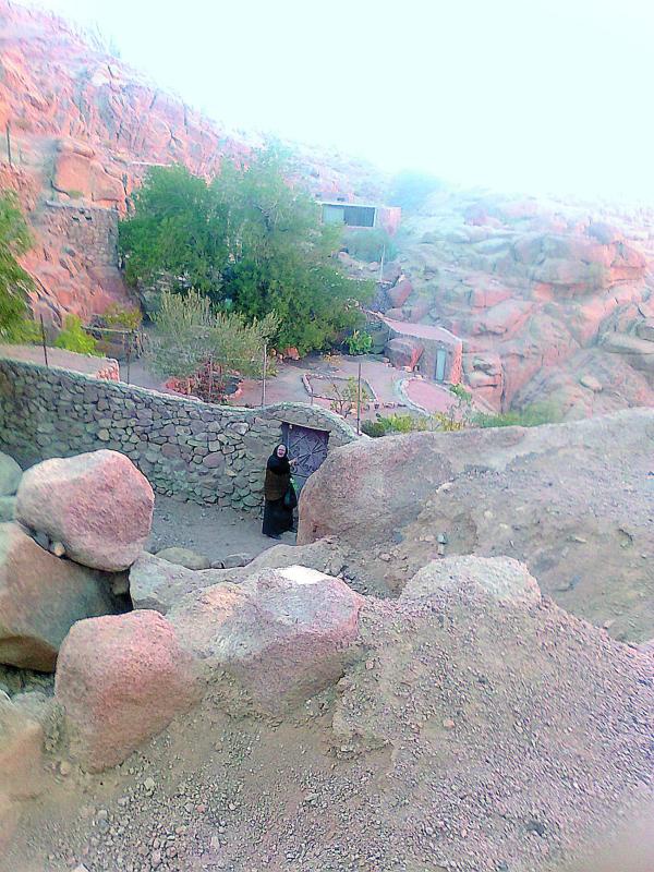 Иллюстрация к книге — Без любви жить нельзя [i_025.jpg]