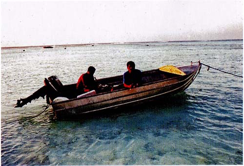 Иллюстрация к книге — У [i_024.jpg]