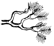 Иллюстрация к книге — Река, текущая вспять [i_014.jpg]