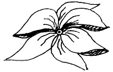 Иллюстрация к книге — Река, текущая вспять [i_020.jpg]