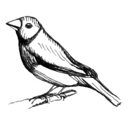 Иллюстрация к книге — Река, текущая вспять [i_041.jpg]