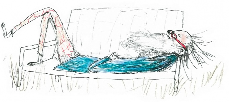 Иллюстрация к книге — Доктор Проктор и его волшебный порошок [i_023.jpg]