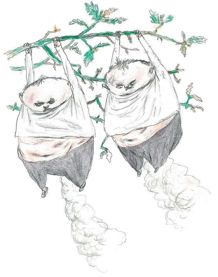 Иллюстрация к книге — Доктор Проктор и его волшебный порошок [i_027.jpg]