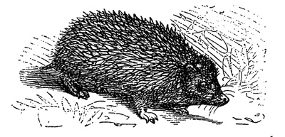 Иллюстрация к книге — Бейкер-стрит и окрестности [i_067.jpg]