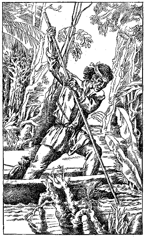 Иллюстрация к книге — В стране райской птицы. Амок [i_002.jpg]